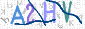 この文字を入力してください