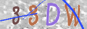 この文字を入力してください