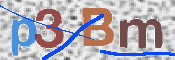 この文字を入力してください