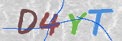 この文字を入力してください