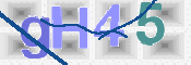 この文字を入力してください