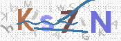 この文字を入力してください