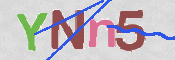 この文字を入力してください