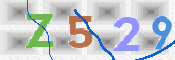 この文字を入力してください