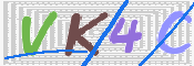 この文字を入力してください