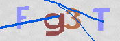 この文字を入力してください