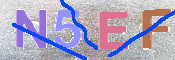 この文字を入力してください