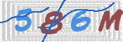 この文字を入力してください