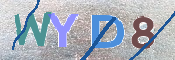 この文字を入力してください