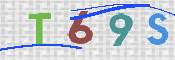 この文字を入力してください