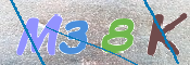 この文字を入力してください