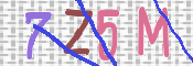 この文字を入力してください