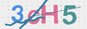 この文字を入力してください