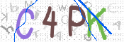 この文字を入力してください