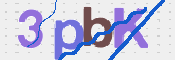 この文字を入力してください