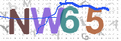 この文字を入力してください