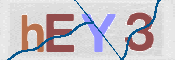 この文字を入力してください