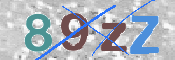 この文字を入力してください