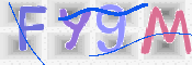 この文字を入力してください