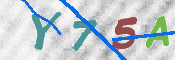 この文字を入力してください