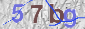 この文字を入力してください