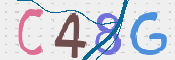 この文字を入力してください
