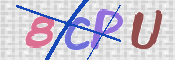 この文字を入力してください