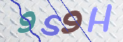 この文字を入力してください