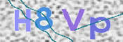 この文字を入力してください
