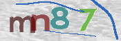 この文字を入力してください