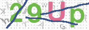 この文字を入力してください