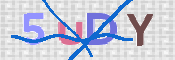 この文字を入力してください