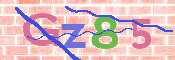 この文字を入力してください