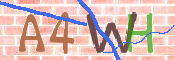 この文字を入力してください