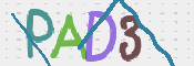 この文字を入力してください