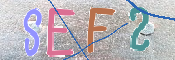 この文字を入力してください
