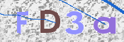 この文字を入力してください