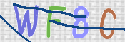 この文字を入力してください