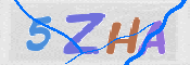 この文字を入力してください