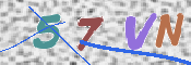 この文字を入力してください