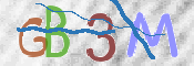この文字を入力してください