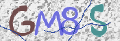 この文字を入力してください