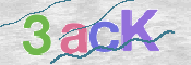 この文字を入力してください