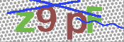 この文字を入力してください