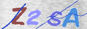 この文字を入力してください