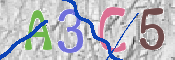 この文字を入力してください