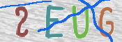 この文字を入力してください
