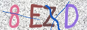 この文字を入力してください
