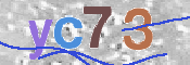 この文字を入力してください