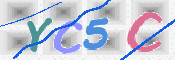 この文字を入力してください